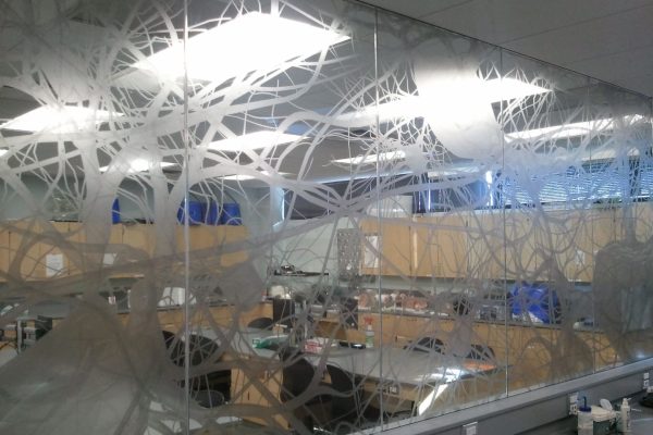 PSAWindowGraphics_MortonCollegeChicago_1_forweb